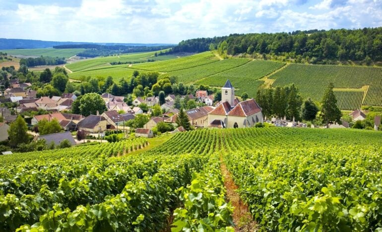 Viatge organitzat a la Champagne