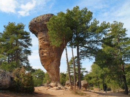 Viatge Organitzat a Cuenca