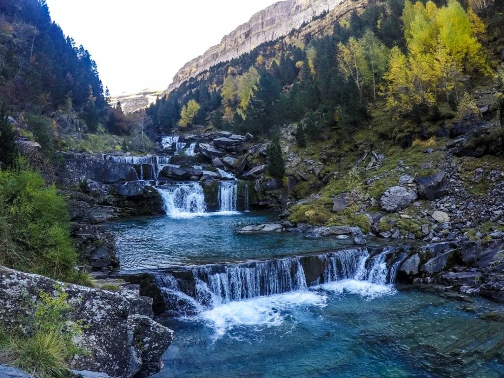 Natura al Parc Nacional d’Ordesa i el Pirineu Aragonès – 23/05/26 – 7h
