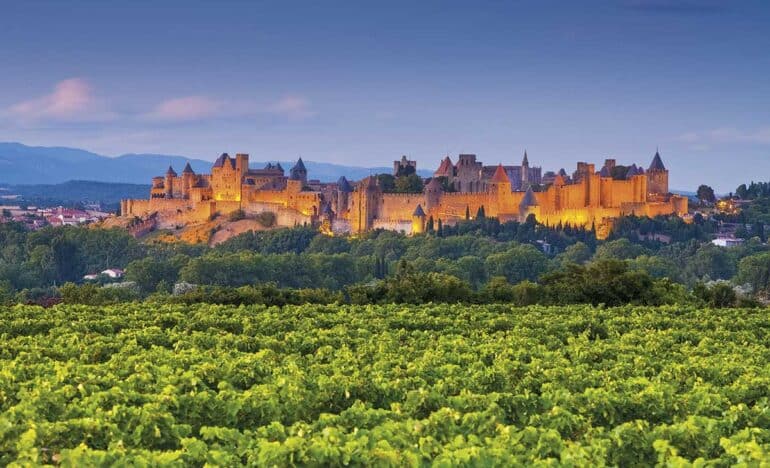 carcassonne al fons amb vinyes verdes - centre europeu