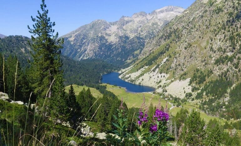 estany llong - centre europeu