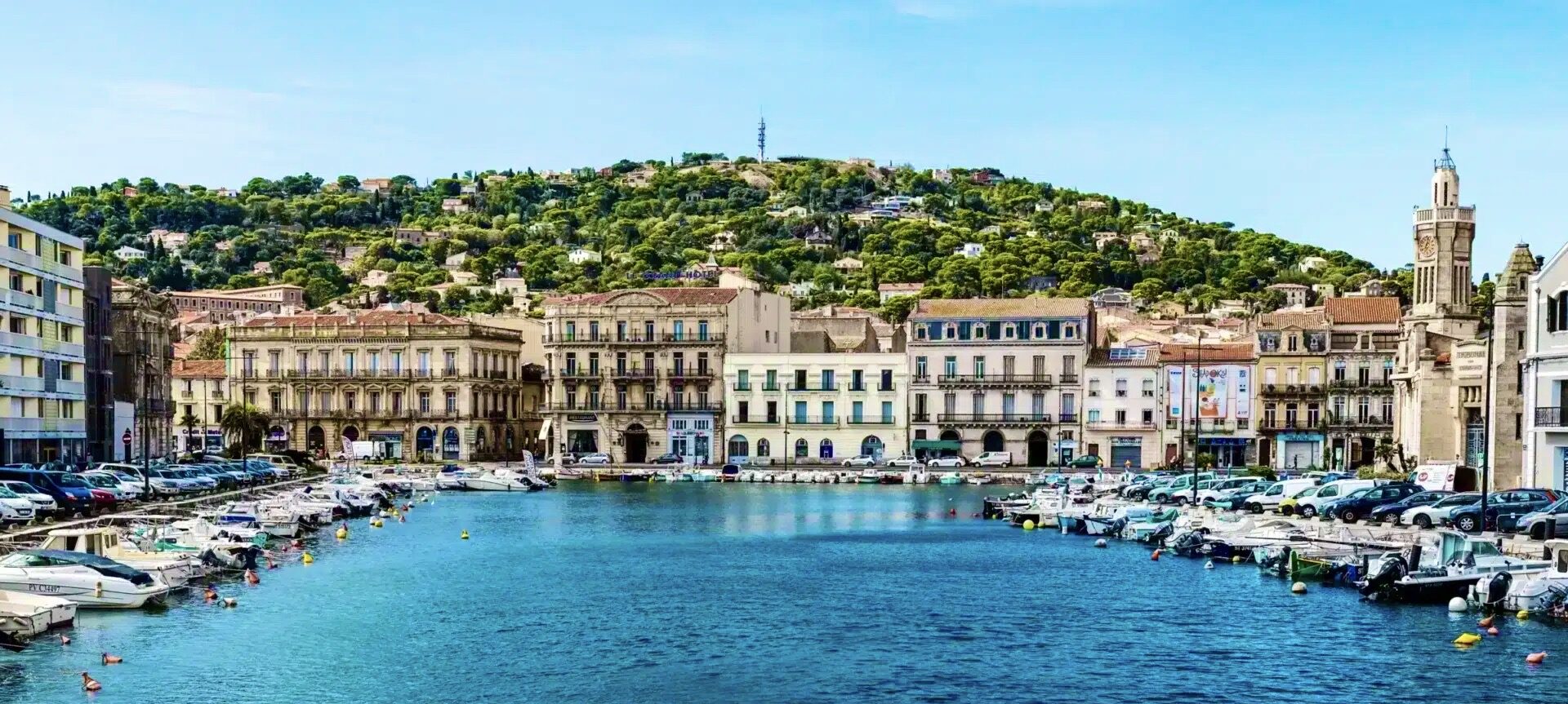 Viatge organitzat a la Camarga i Montpellier - Centre Europeu