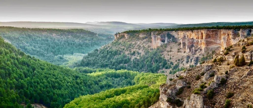 Natura i Paisatges a Sòria i la Vall del Duero – 21/06/25 – 7h
