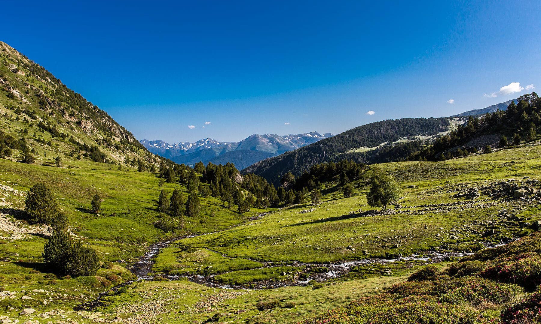 Viatge organitzat a Andorra - centre europeu