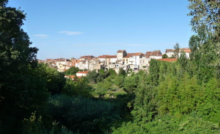 ceret - centre europeu
