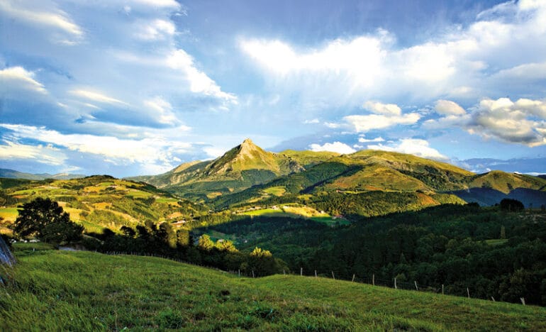 Aralar - Viatge Organitzat de Natura al País Basc - centre europeu