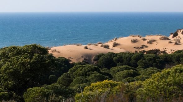 Viatge de Natura a Doñana - Centre Europeu