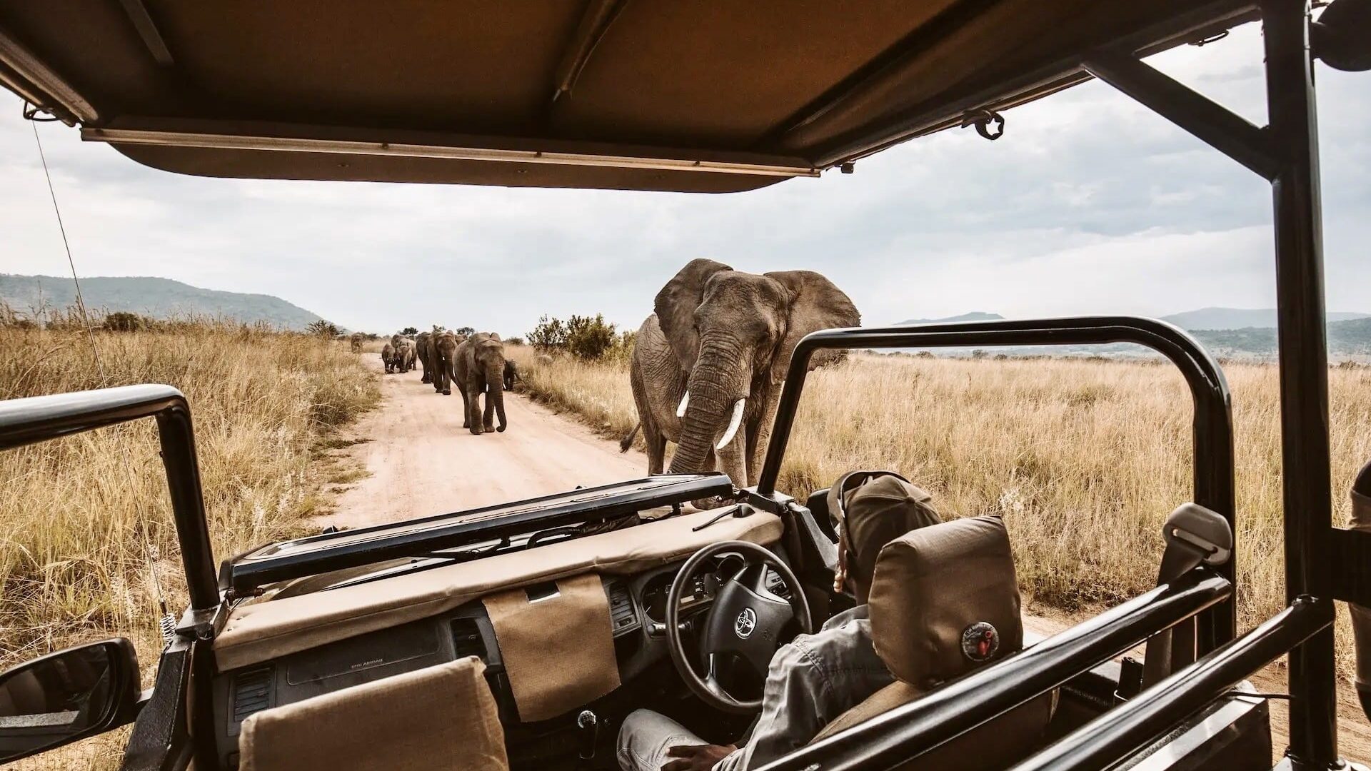 Viatge a Sud-Àfrica i el Parc Nacional Kruguer - Centre Europeu